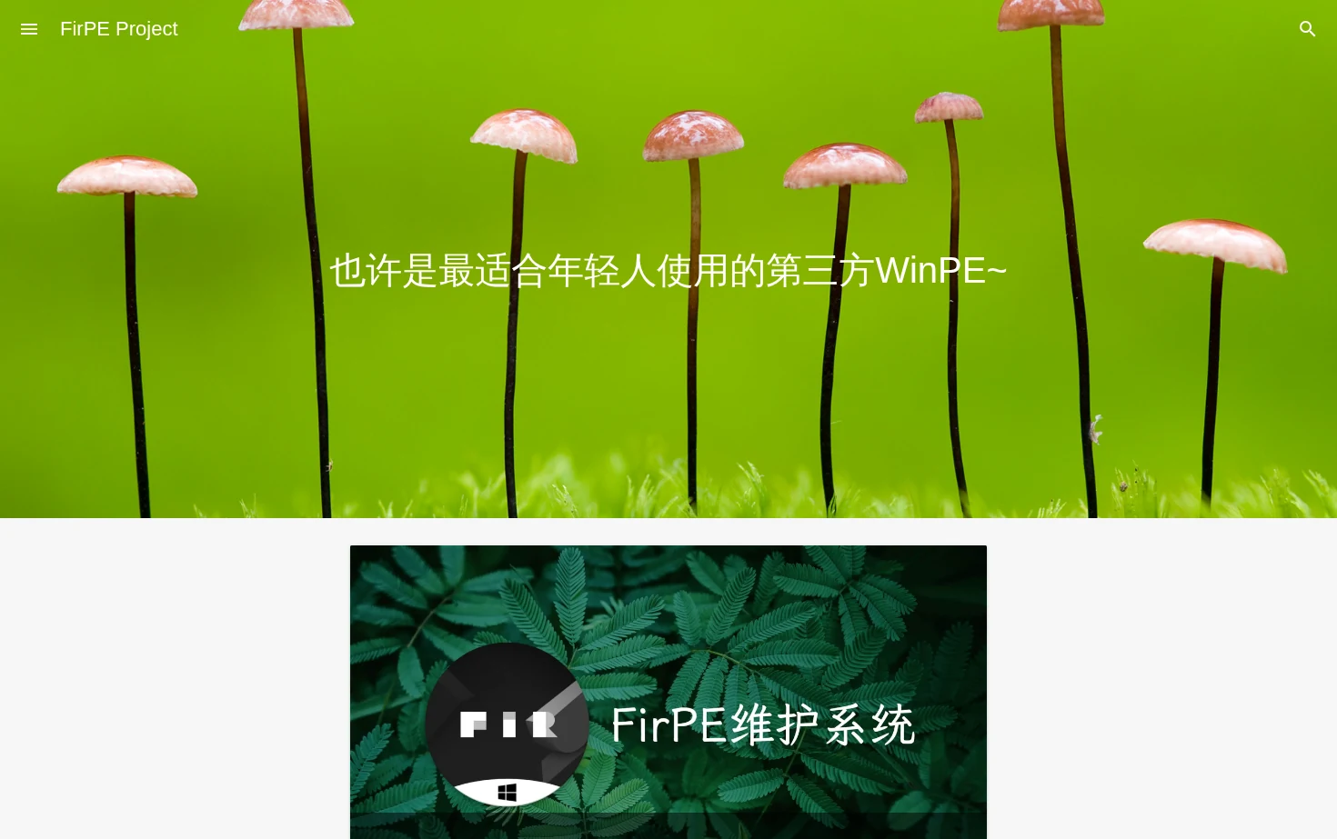 FirPE Project 页面快照